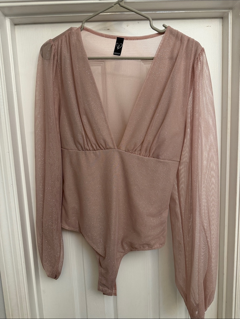 Windsor Dusty Rose Sparkle V-Neck Sheer Sleeve Bodysuit